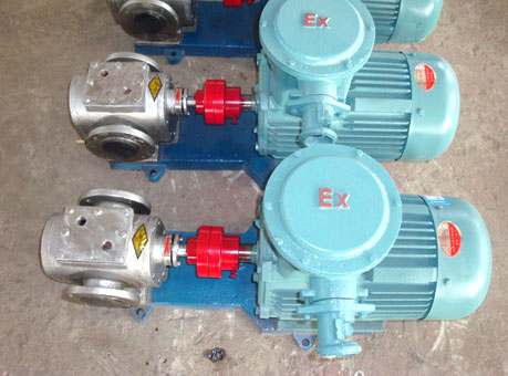 不銹鋼保溫齒輪泵 不銹鋼保溫齒輪泵